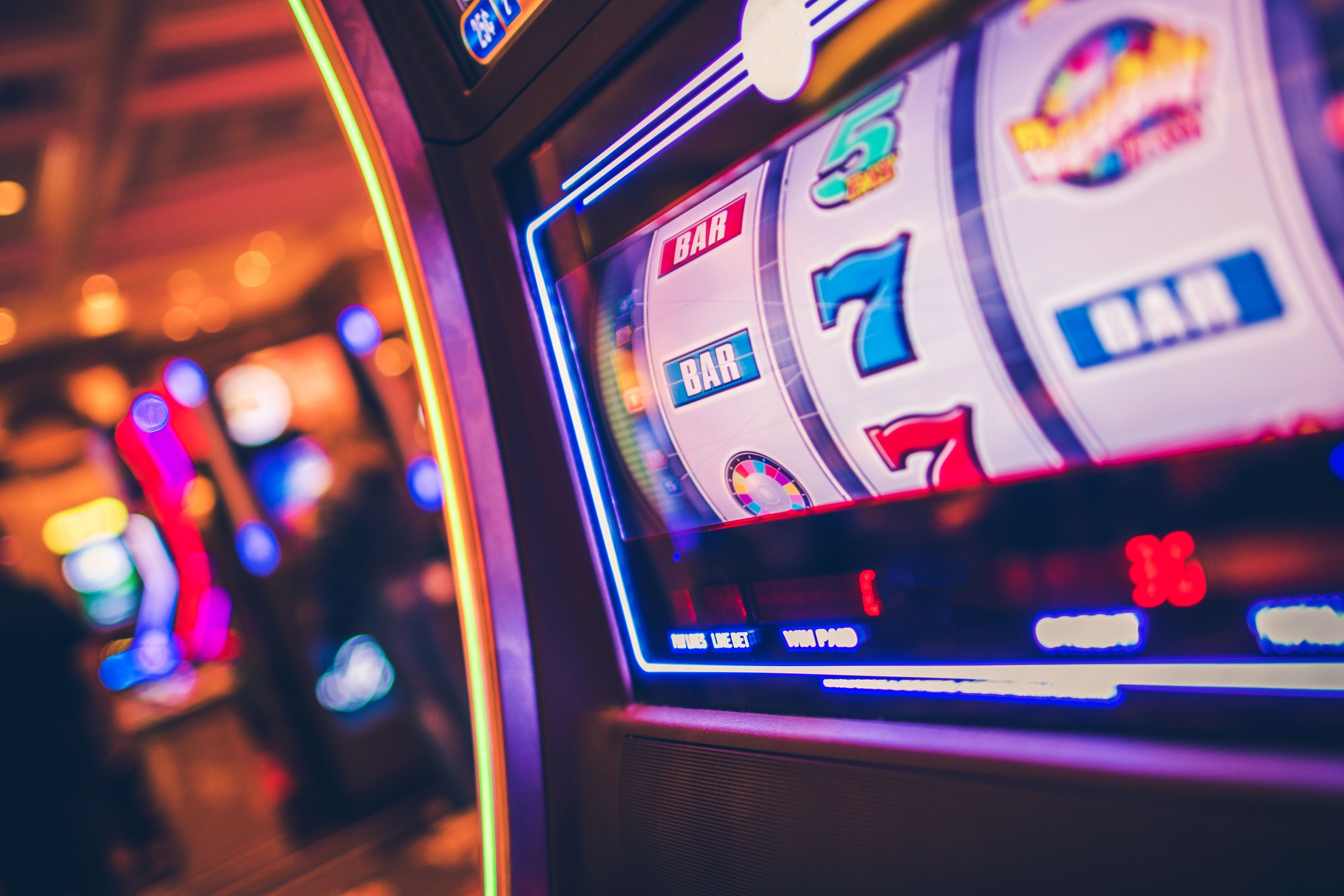 Dream Gaming live stream interface with betting options